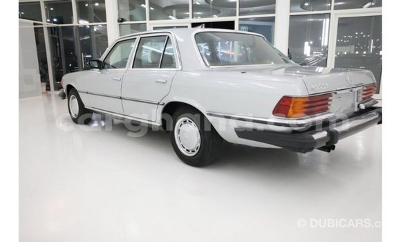 Sayi Imported Mercedes‒Benz 1117 Sauran Babbar mota in Import - Dubai a Ashanti Sayi Imported Mercedes‒Benz 1117 Sauran Babbar mota in Import - Dubai a Ashanti