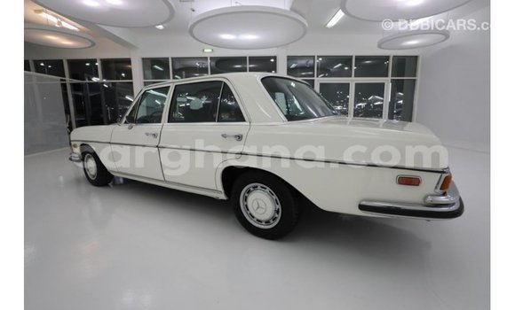 Buy Import Mercedes‒Benz 1117 Beige Truck in Import - Dubai in Ashanti Buy Import Mercedes‒Benz 1117 Beige Truck in Import - Dubai in Ashanti