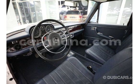 Buy Import Mercedes‒Benz 1117 Beige Truck in Import - Dubai in Ashanti Buy Import Mercedes‒Benz 1117 Beige Truck in Import - Dubai in Ashanti