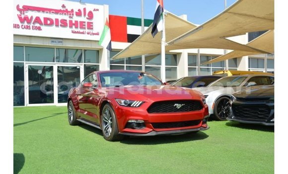 Sayi Imported Ford Mustang Red Mota in Import - Dubai a Ashanti Sayi Imported Ford Mustang Red Mota in Import - Dubai a Ashanti