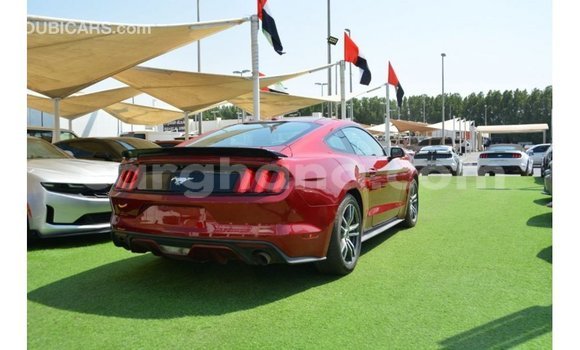 Sayi Imported Ford Mustang Red Mota in Import - Dubai a Ashanti Sayi Imported Ford Mustang Red Mota in Import - Dubai a Ashanti