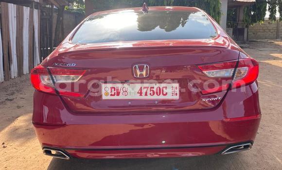 Buy Used Honda Accord Red Car in Accra in Greater Accra Buy Used Honda Accord Red Car in Accra in Greater Accra