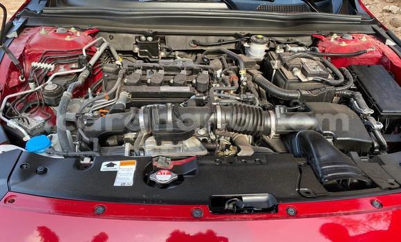Buy Used Honda Accord Red Car in Accra in Greater Accra Buy Used Honda Accord Red Car in Accra in Greater Accra