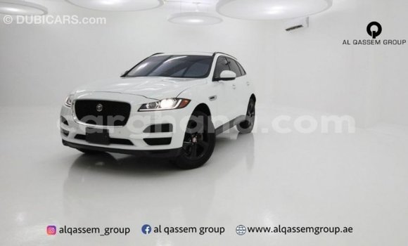 Sayi Imported Jaguar F-Pace White Mota in Import - Dubai a Ashanti Sayi Imported Jaguar F-Pace White Mota in Import - Dubai a Ashanti