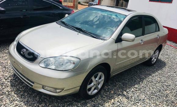 Ra Àlòkù Toyota Corolla Alagara Ọkọ̀ in Accra ni Greater Accra Ra Àlòkù Toyota Corolla Alagara Ọkọ̀ in Accra ni Greater Accra