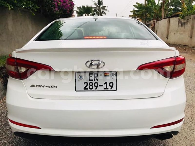 Big with watermark 53178296 601740790268568 5420016112123248640 n