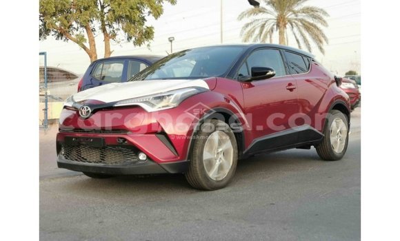 Buy Import Toyota C-HR Red Car in Import - Dubai in Ashanti Buy Import Toyota C-HR Red Car in Import - Dubai in Ashanti