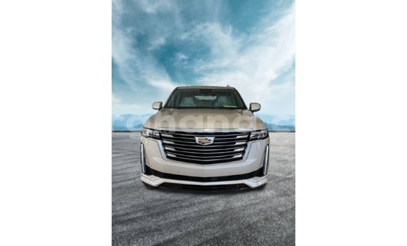 Buy Import Cadillac Escalade Other Car in Import - Dubai in Ashanti