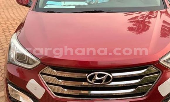 Medium with watermark 50323519 10217271649477176 9118887023120220160 n