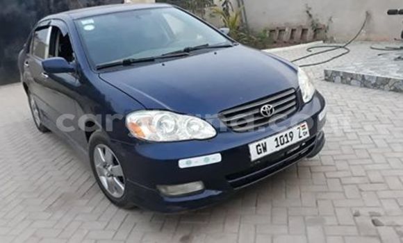 Sayi Na hannu Toyota Corolla Blue Mota in Tema a Greater Accra Sayi Na hannu Toyota Corolla Blue Mota in Tema a Greater Accra