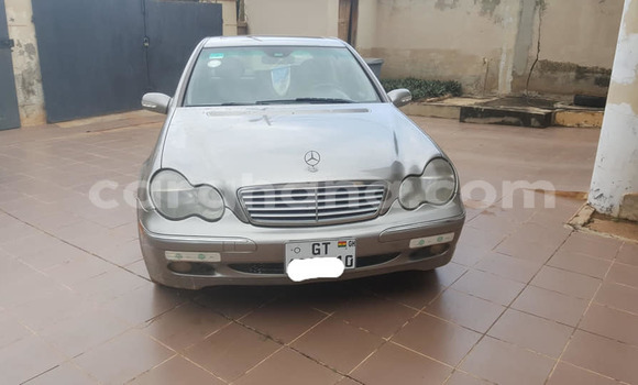 Medium with watermark 69946801 10217153397524332 6701095253249622016 n