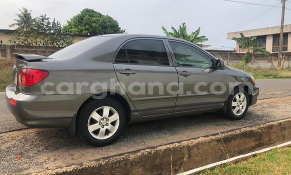 Sayi Na hannu Toyota Corolla Sauran Mota in Accra a Greater Accra Sayi Na hannu Toyota Corolla Sauran Mota in Accra a Greater Accra