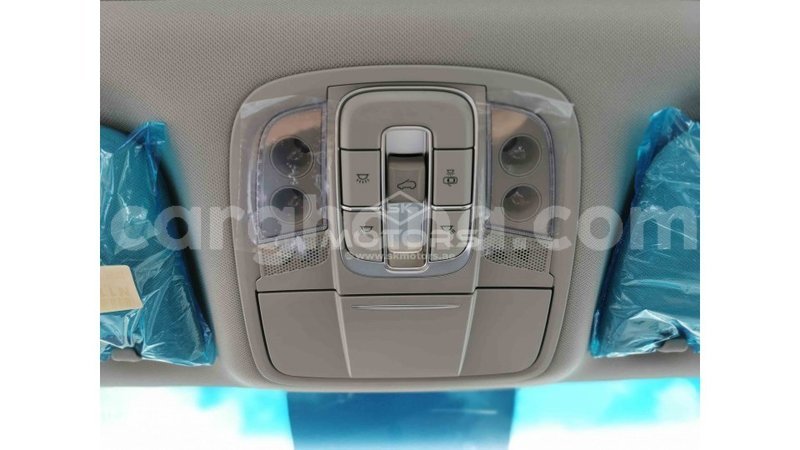 Big with watermark hyundai santa fe ashanti import dubai 26452