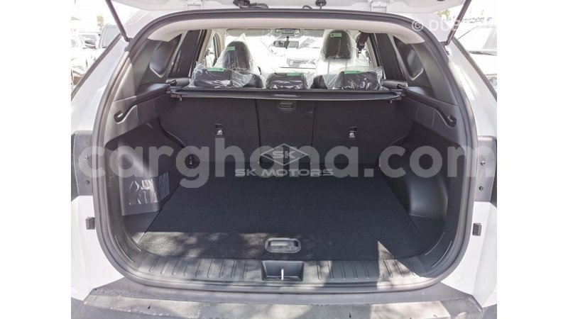 Big with watermark hyundai tucson ashanti import dubai 29386