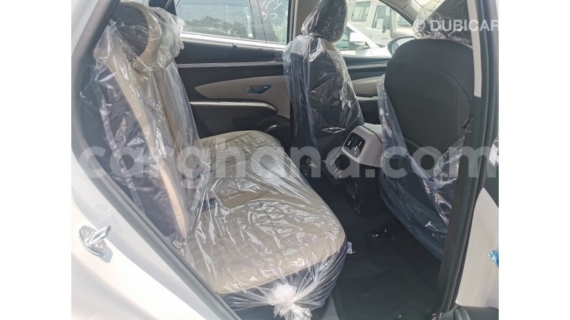 Big with watermark hyundai tucson ashanti import dubai 29489