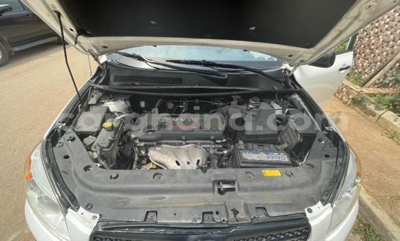 Buy Used Toyota RAV4 White Car in Sekondi–Takoradi Metropolitan in Western Buy Used Toyota RAV4 White Car in Sekondi–Takoradi Metropolitan in Western