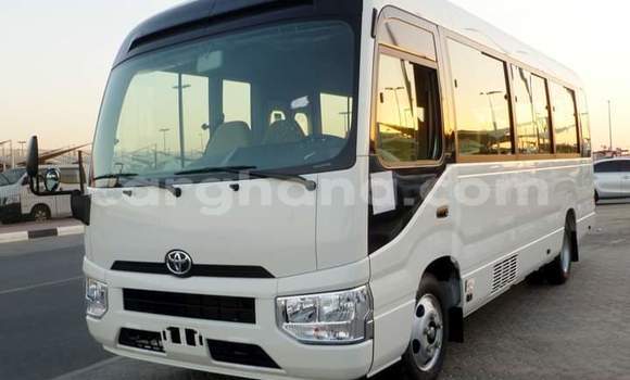 Buy Used Toyota Coaster White Car in Sekondi–Takoradi Metropolitan in Western Buy Used Toyota Coaster White Car in Sekondi–Takoradi Metropolitan in Western
