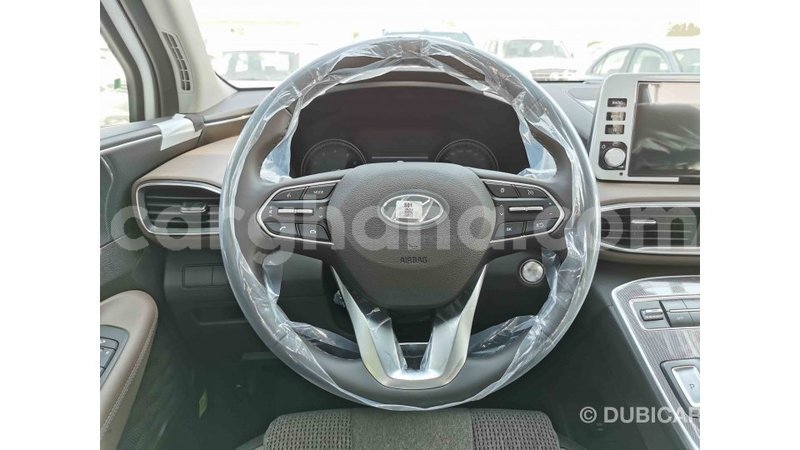 Big with watermark hyundai santa fe ashanti import dubai 31247