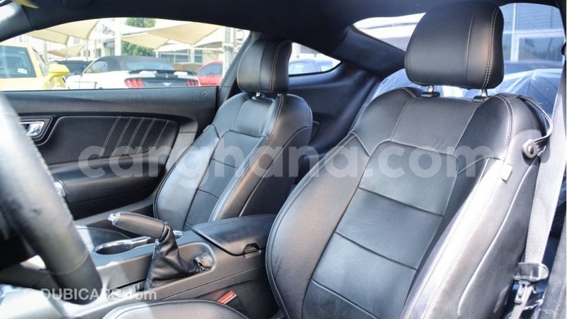 Big with watermark ford mustang ashanti import dubai 31377