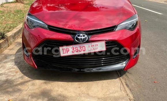 Buy New Toyota Corolla Spacio Red Car in Accra in Greater Accra