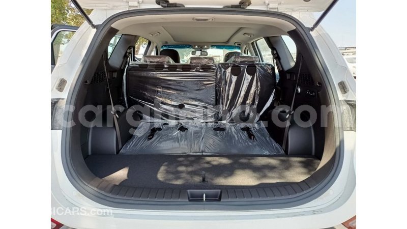 Big with watermark hyundai santa fe ashanti import dubai 31745