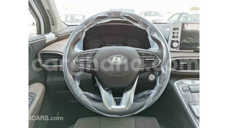 Big with watermark hyundai santa fe ashanti import dubai 31889