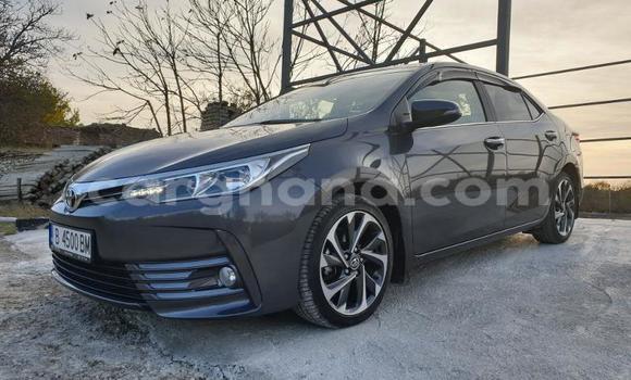Buy Used Toyota Corolla Other Car in Accra in Greater Accra Buy Used Toyota Corolla Other Car in Accra in Greater Accra