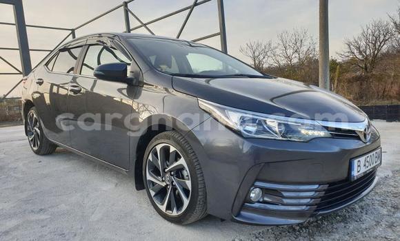 Buy Used Toyota Corolla Other Car in Accra in Greater Accra Buy Used Toyota Corolla Other Car in Accra in Greater Accra