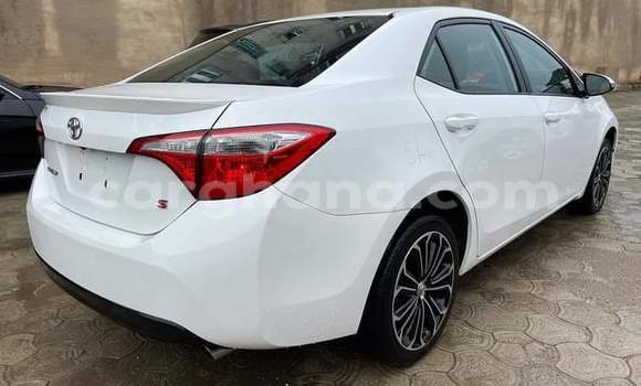 Buy Used Toyota Corolla White Car in Atebubu–Amantin in Brong-Ahafo Buy Used Toyota Corolla White Car in Atebubu–Amantin in Brong-Ahafo