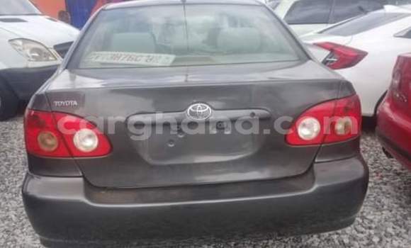 Ra Àlòkù Toyota Corolla Alagara Ọkọ̀ in Sekondi–Takoradi Metropolitan ni Oorun