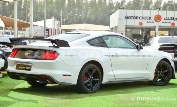 Sayi Imported Ford Mustang White Mota in Import - Dubai a Ashanti Sayi Imported Ford Mustang White Mota in Import - Dubai a Ashanti