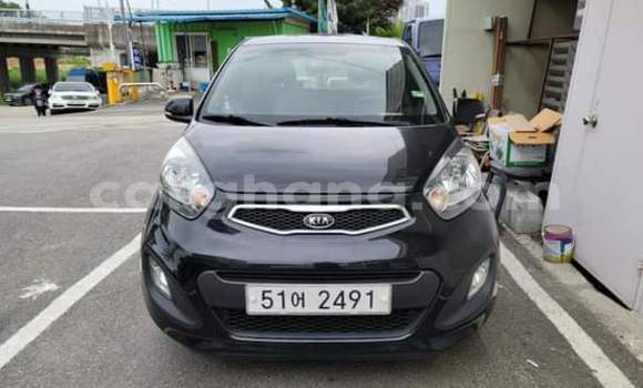 Buy New Kia Morning Black Car in Sekondi–Takoradi Metropolitan in Western