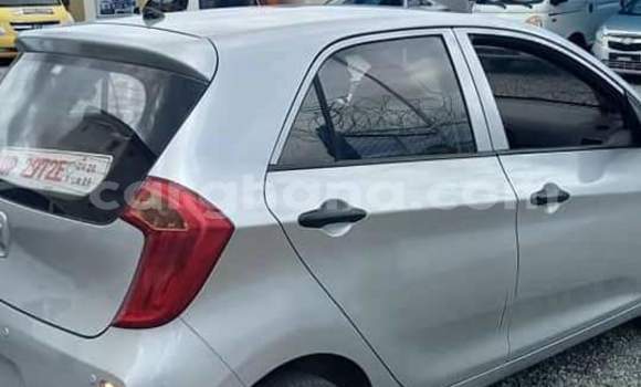 Buy Import Kia Morning Silver Car in Sekondi–Takoradi Metropolitan in Western