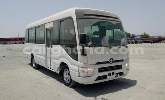 Buy Used Toyota Coaster White Car in Awutu Senya in Central Buy Used Toyota Coaster White Car in Awutu Senya in Central