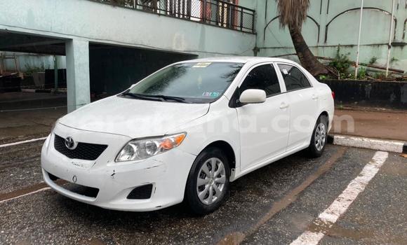 Buy Used Toyota Corolla White Car in Sekondi–Takoradi Metropolitan in Western