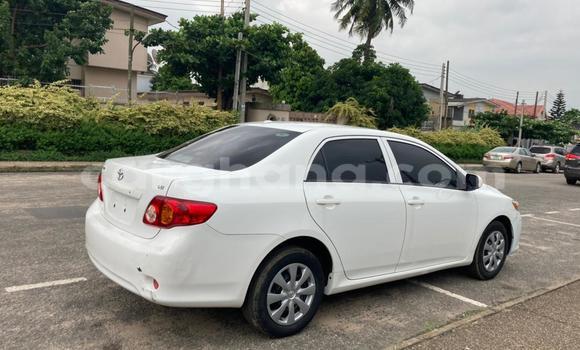 Ra Àlòkù Toyota Corolla funfun Ọkọ̀ in Sekondi–Takoradi Metropolitan ni Oorun Ra Àlòkù Toyota Corolla funfun Ọkọ̀ in Sekondi–Takoradi Metropolitan ni Oorun