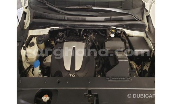 Buy Import Kia Carnival White Car in Import - Dubai in Ashanti Buy Import Kia Carnival White Car in Import - Dubai in Ashanti