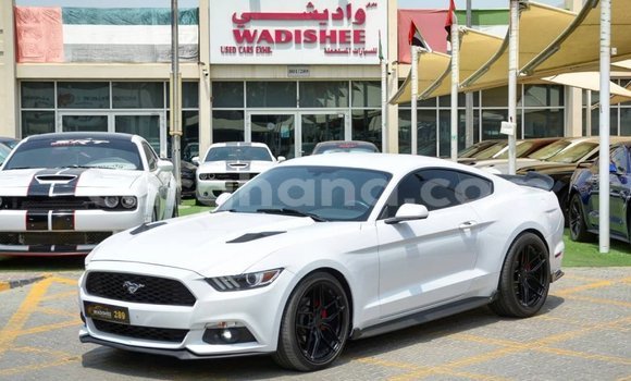 Buy Import FORD MUSTANG White Car in Import - Dubai in Ashanti Buy Import FORD MUSTANG White Car in Import - Dubai in Ashanti