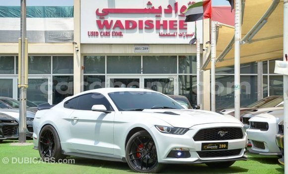 Buy Import FORD MUSTANG White Car in Import - Dubai in Ashanti Buy Import FORD MUSTANG White Car in Import - Dubai in Ashanti