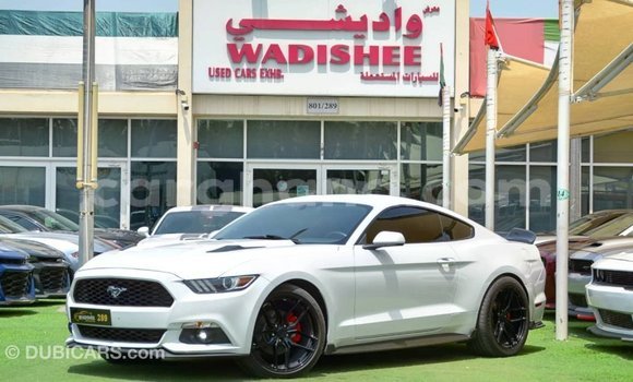 Buy Import FORD MUSTANG White Car in Import - Dubai in Ashanti Buy Import FORD MUSTANG White Car in Import - Dubai in Ashanti