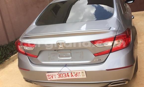 Buy Import Honda Accord Silver Car in Tema in Greater Accra Buy Import Honda Accord Silver Car in Tema in Greater Accra