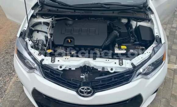 Buy Used Toyota Corolla White Car in Sekondi–Takoradi Metropolitan in Western Buy Used Toyota Corolla White Car in Sekondi–Takoradi Metropolitan in Western