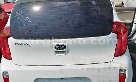 Sayi Na hannu Kia Morning White Mota in Sekondi–Takoradi Metropolitan a Yamma Sayi Na hannu Kia Morning White Mota in Sekondi–Takoradi Metropolitan a Yamma