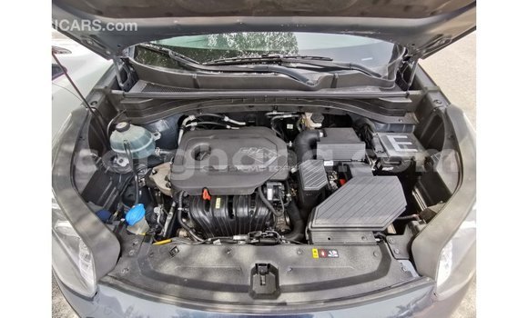 Buy Import Kia Sportage Blue Car in Import - Dubai in Ashanti Buy Import Kia Sportage Blue Car in Import - Dubai in Ashanti