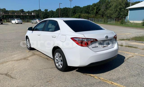 Sayi Na hannu Toyota Corolla White Mota in Tema a Greater Accra Sayi Na hannu Toyota Corolla White Mota in Tema a Greater Accra