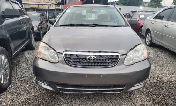 Buy Used Toyota Corolla Beige Car in Tema in Greater Accra Buy Used Toyota Corolla Beige Car in Tema in Greater Accra