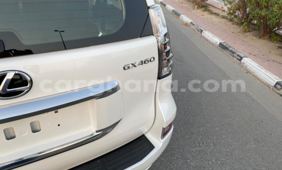 Sayi Sabo Lexus GX Black Mota in Tema a Greater Accra Sayi Sabo Lexus GX Black Mota in Tema a Greater Accra