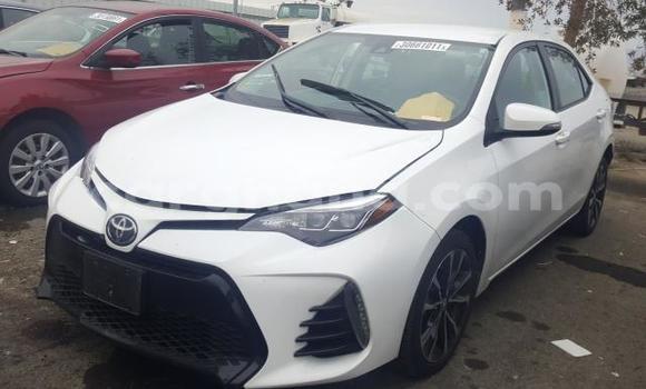 Buy Used Toyota Corolla White Car in Accra in Greater Accra Buy Used Toyota Corolla White Car in Accra in Greater Accra