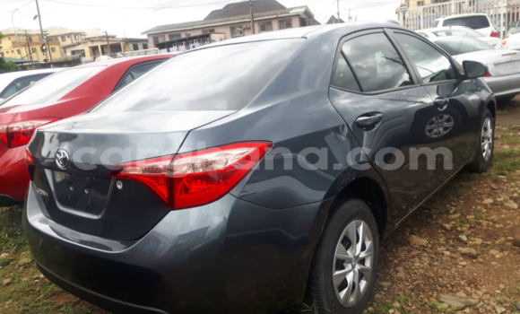 Sayi Na hannu Toyota Corolla Blue Mota in Tema a Greater Accra Sayi Na hannu Toyota Corolla Blue Mota in Tema a Greater Accra