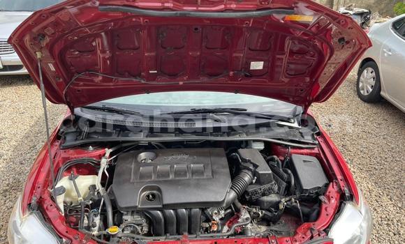 Buy Used Toyota Corolla Red Car in Sekondi–Takoradi Metropolitan in Western Buy Used Toyota Corolla Red Car in Sekondi–Takoradi Metropolitan in Western